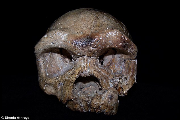 Zbulimi i kafkës së vjetër 260,000-vjeçare mund të rishkruajë historinë e evolucionit njerëzor