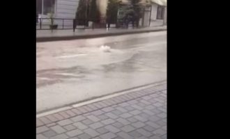 Pas një shiu Istogu vërshohet nga ujërat e zeza, Dreshaj: Kjo gjendje duhet marrë fund