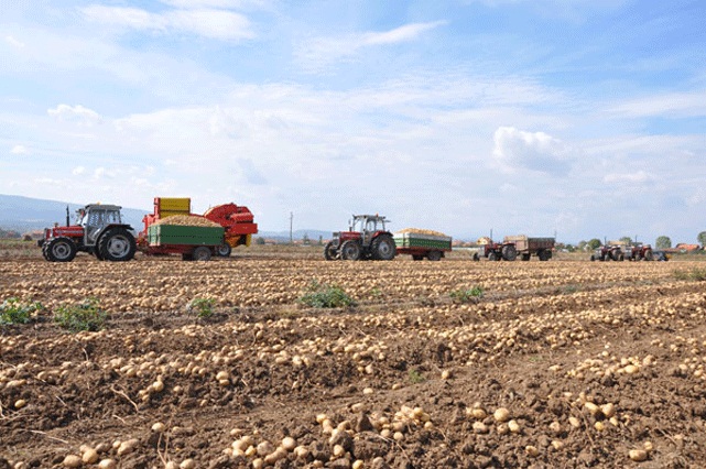 Investitorët nga Izraeli të gatshëm të investojnë mbi 100 milionë euro në bujqësi