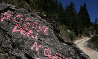 Si mund të përfitojmë nga Çakorri?