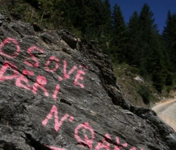 Si mund të përfitojmë nga Çakorri?