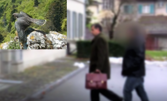 Dënimi që gjykata zvicerane i dha kosovarit për “tentimvrasje” të skifterit