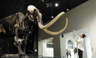 Së shpejti hapet Muzeu i Selfieve