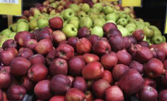 Sot shënohet Dita Tradicionale e Mollës