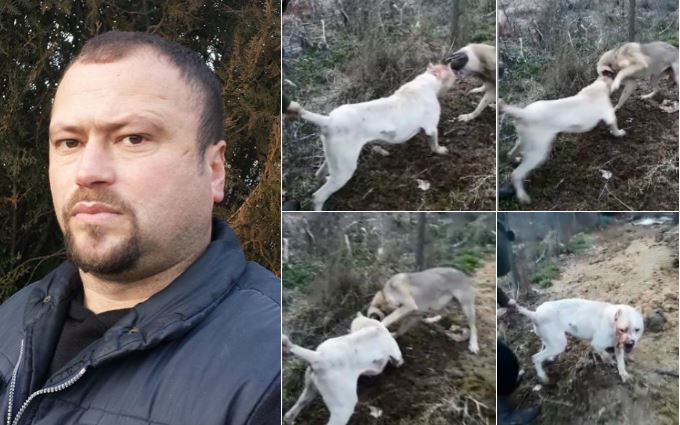 Qytetari nga Istogu që përgjakë qentë nuk i frikësohet as policisë