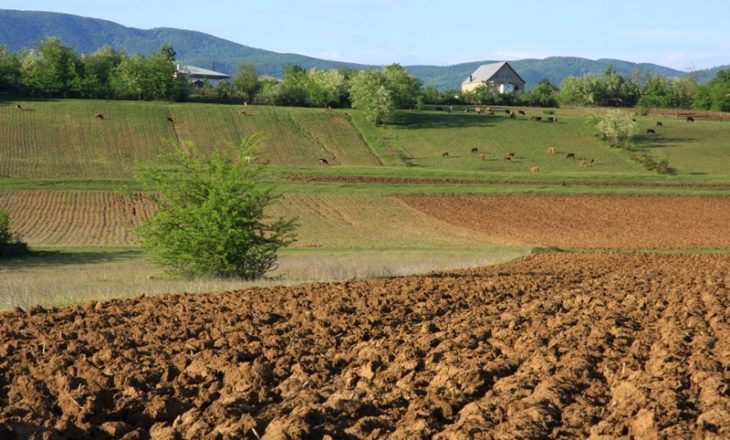 Fondi Kosovar për Garanci Kreditore lanson dritaren agro