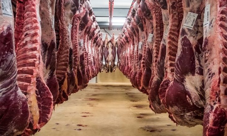 Këto janë katër shtetet që Kosova importon miliona kg mish
