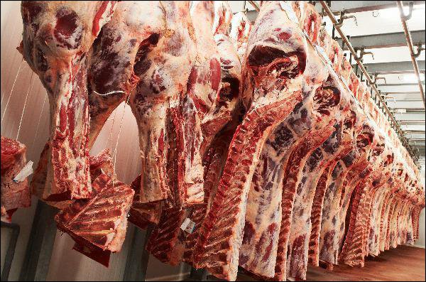 Bëni kujdes në konsumimin e mishit të bluar, 400 njerëz u helmuan vitin e kaluar