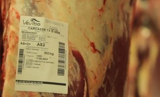 Hetimi që nisi në Kosovë dhe u shndërrua “skandali i mishit” në Belgjikë