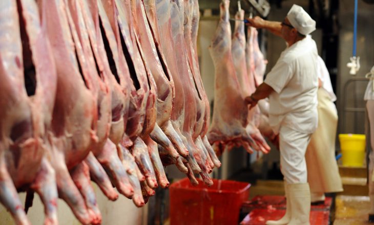 Skandali i mishit – Dy grupe parlamentare kërkojnë debat në Kuvend