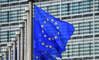 Bashkimi Evropian nuk komenton aktakuzat ndaj Thaçit e Veselit