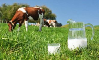 Nis ekzekutimi i subvencioneve në vlerë prej rreth 11.9 milionë euro për fermerët