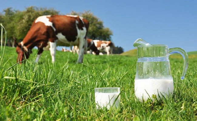 Nis ekzekutimi i subvencioneve në vlerë prej rreth 11.9 milionë euro për fermerët