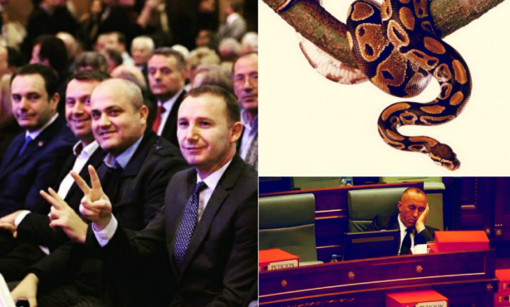Deputeti i LDK-së, Haradinajt: Kur fle me gjarprin në fole edhe kafshimi mendon se ishte ëndërr