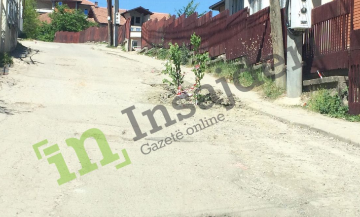 Banorët mbjellin pisha në rrugë – komuna injoroi problemin e tyre
