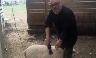 Kërcënimi i grupit të Zharkut: “Do të derdhet gjak, do të hapen varre”