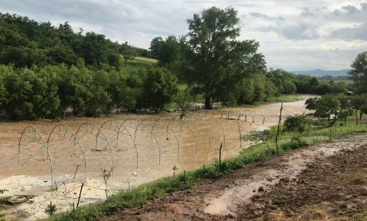 Reshjet e shiut dëmtojnë të mbjellat e fermerëve në Kosovë
