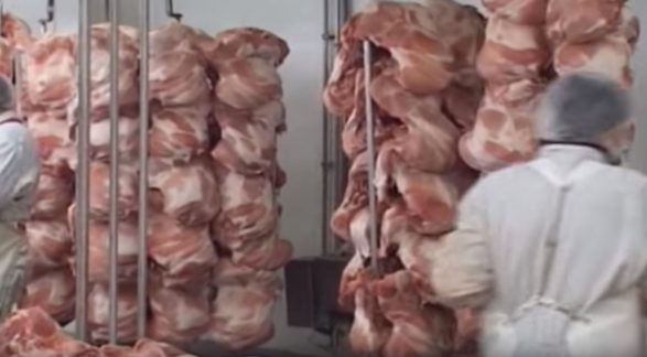 Maqedonia e Veriut ndërprenë 63 tonë mish të pulës i nisur nga Polonia
