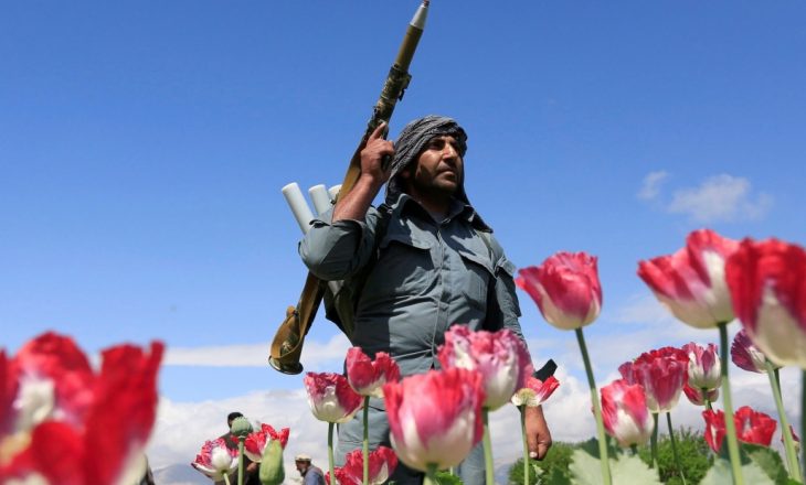Afganistani prodhon 900 tonë heroinë në vit