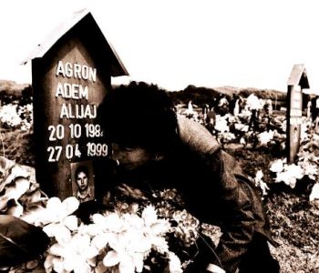 Përfitimi mbi kurrizin e martirëve të Mejës përmes tenderit të kundërligjshëm