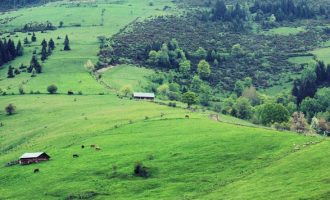 Turizmi në gjendje të rëndë, kërkohet ndihma e shtetit