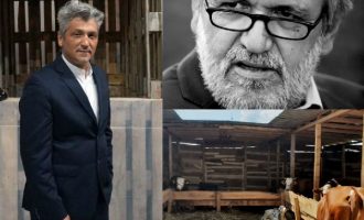 Akademik Kraja kundër instalacionit me lopë në Galeri: Buxheti i varfër i shtetit për bagla të lopëve