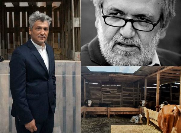 Akademik Kraja kundër instalacionit me lopë në Galeri: Buxheti i varfër i shtetit për bagla të lopëve
