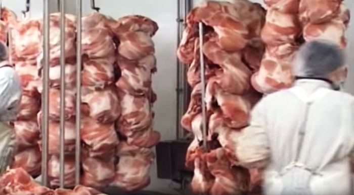 Bllokohen rreth 50 ton mish nga Brazili