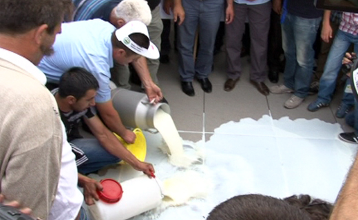 Vendimi i Qeverisë nuk garanton mbrojtje për qumështin vendor