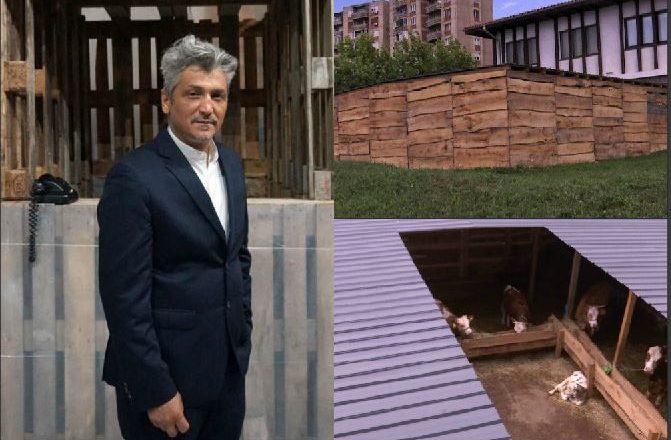 8 lopë Kosove të mbyllura për 1 muaj në emër të artit, plus 40 mijë euro shpenzime nga shteti