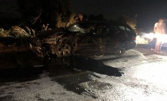 Policia jep detaje për aksidentin ku humbi jetën vajza 6-vjeçe – rritet numri i të lënduarve