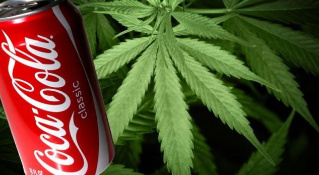 Coca-Cola fillon bisedimet për të prodhuar pije me kanabis