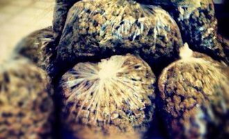 Policia greke kap dy shtetas shqiptarë me 46 kg drogë