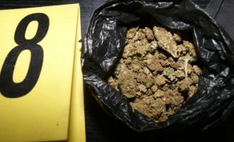 30 ditë paraburgim të dyshuarit për posedim të narkotikëve