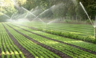 Tkurret toka bujqësore, krijohen zona industriale dhe urbane