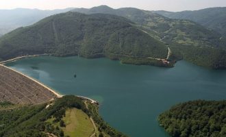 Ujmani, damari jetik