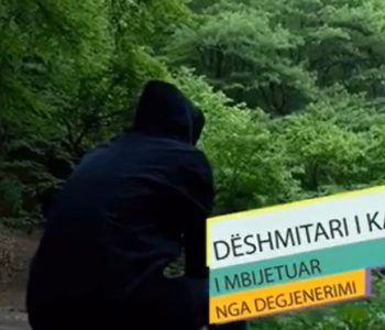 Unë, dëshmitari i degjenerimit