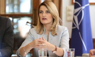 Hoxha: Zgjedhjet e parakohshme dëmtojnë procesin e vizave