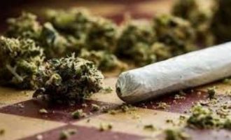 Në Pejë arrestohen pesë persona për posedim të narkotikëve