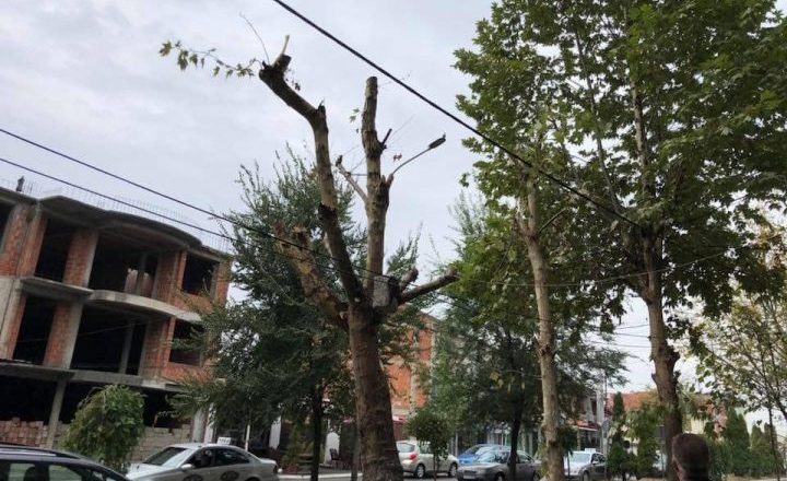 Gjakovë, dëmtohen drunjtë e qytetit