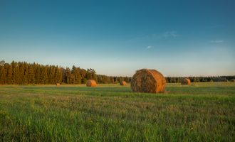IPKO – Stacionet agrare tregojnë për kushtet e mbjelljes së grurit