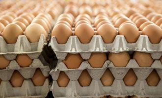 Vezët nga Serbia shiten në Kosovë pa vulën “RKS”