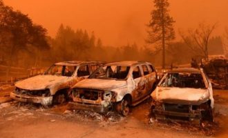 Zjarret në Kaliforni, 25 të vdekur