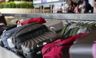 Statistika shqetësuese – Ky është numri i shqiptarëve që emigruan vitet e fundit