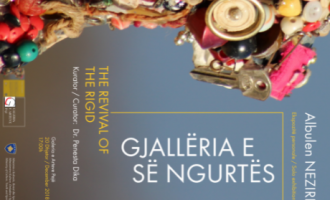 “Gjallëria e së ngurtës” gdhend rrëfimin për mbijetesën