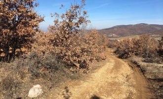 Rruga e prishur në Hajvali, dëmton veturat e banorëve