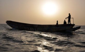 JAVA E KINEMASË BASHKËKOHORE AFRIKANE në Kino ARMATA