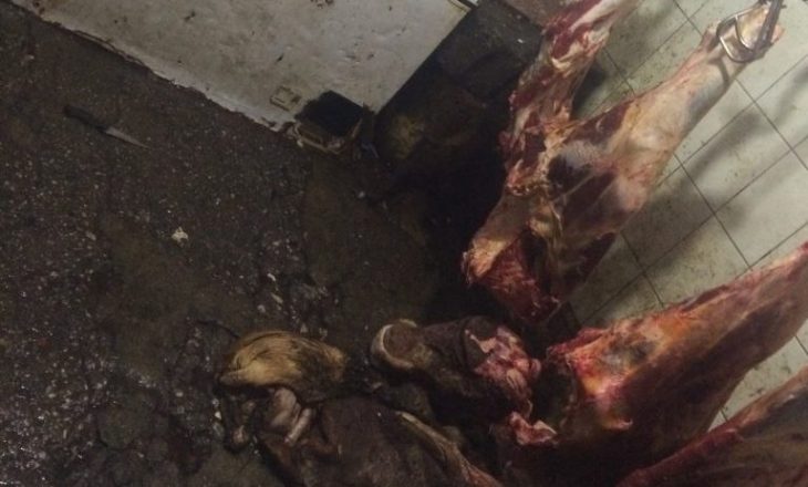 Rasti i mishit të prishur në Pejë – Komuna nuk ka asnjë inspektor të veterinarisë