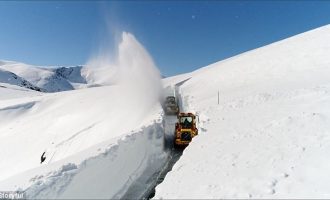 Orteku godet një pjesë të Norvegjisë, katër të zhdukur