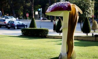 Zbulohet domethënia e kërpudhës së dëmtuar nga protestuesit para Kryeministrisë në Tiranë